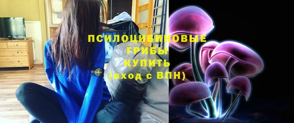 ALPHA PVP Алексин