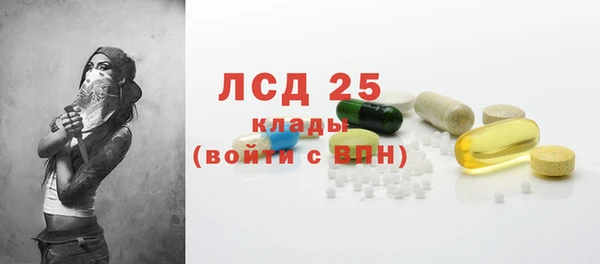 стаф Аркадак