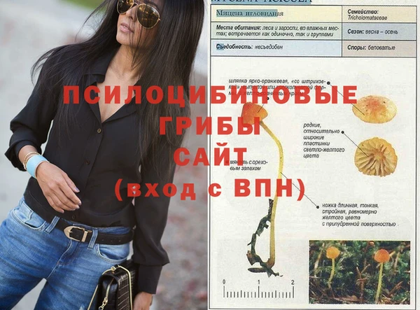 героин Алзамай