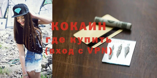 стаф Аркадак